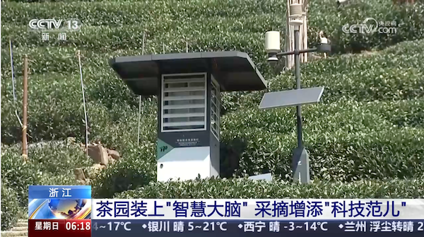 央視、人民網等權威媒體聚焦西湖龍井：托普云農“黑科技”點亮千年茶香智變之路